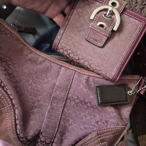 Coach Purpe Plum  Signature Women's Bag